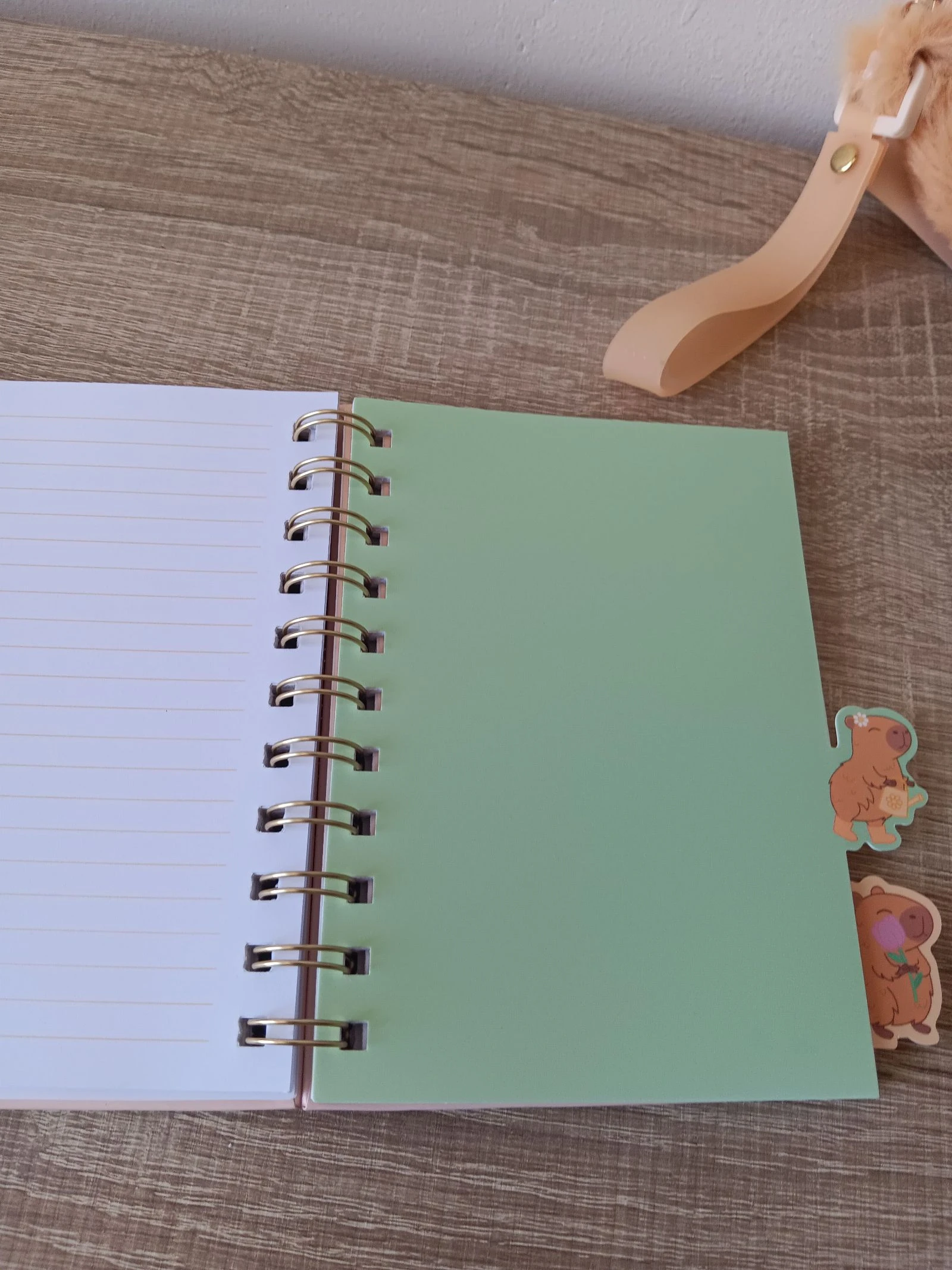 Kit Nuevo Capibara, Libreta Nueva de Capibara A6 80 y bolso de peluche con pegatinas y libreta pequeña – photo 4